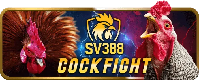 Cá cược Thể Thao tại kv9999